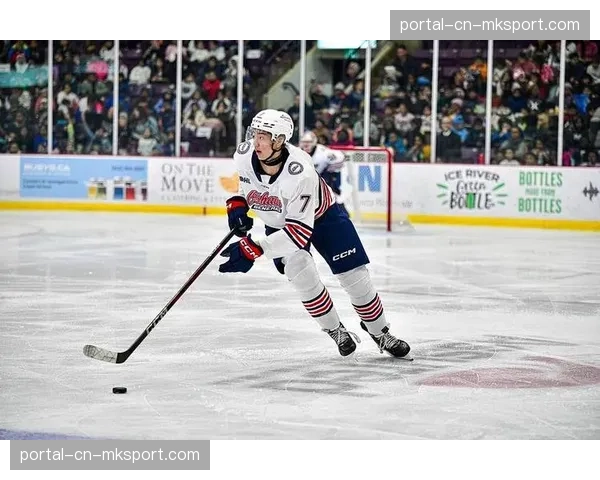 讨论：2026年冬奥会后，冰球项目是否应允许更多NHL现役球员参赛？