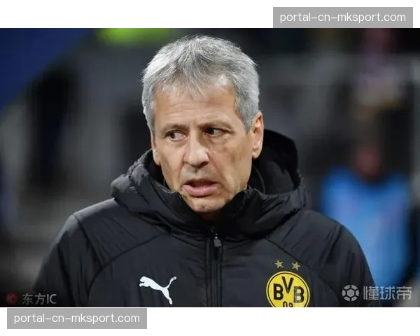 尼斯官方确认,主帅法夫尔因身体不适将缺席赛前发布会 尼斯官方确认,主帅法夫尔因身体不适将缺席赛前发布会